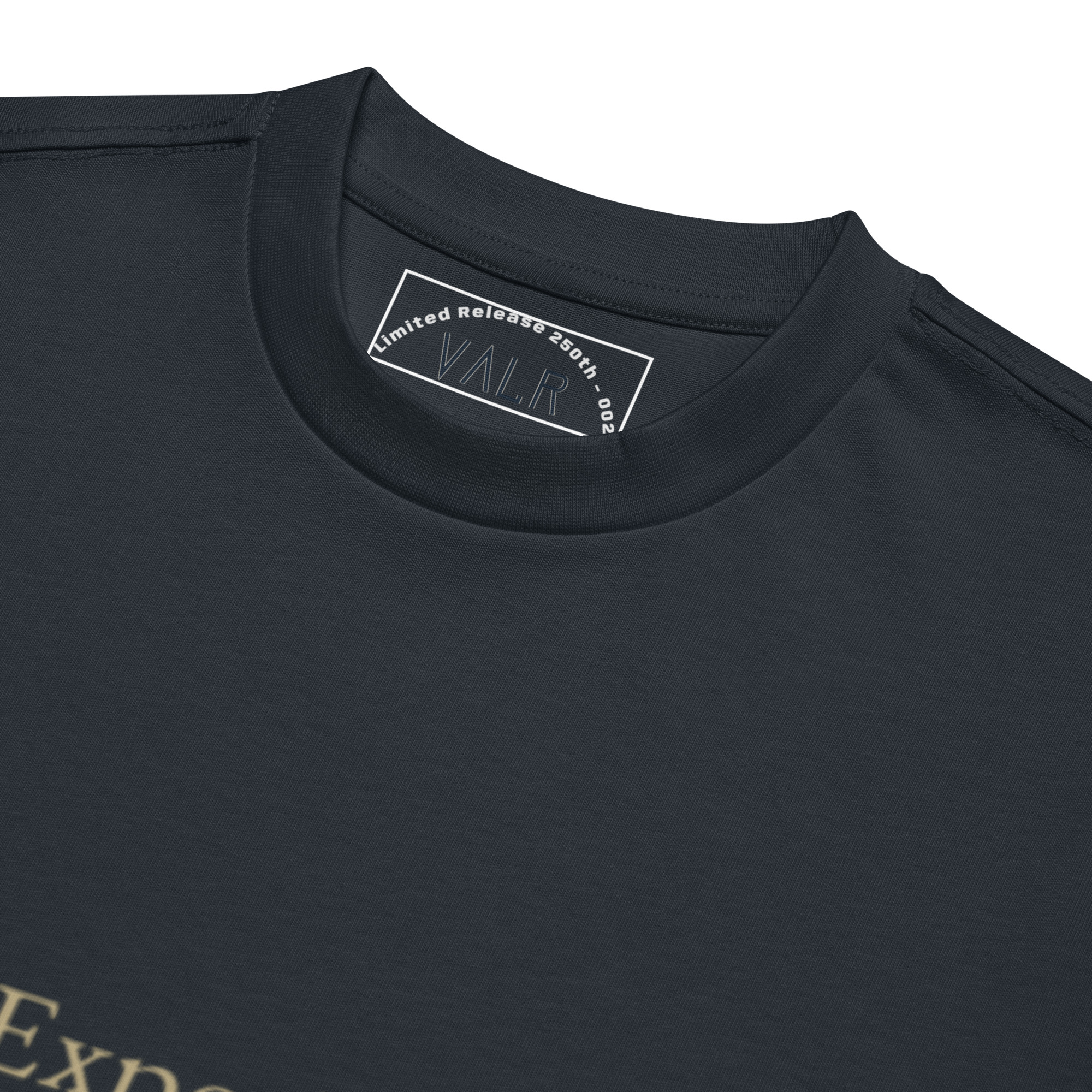 The Experiment Endures — label detail